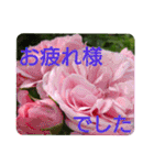 花いっぱいで大人可愛い日常用語②（個別スタンプ：18）