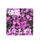 花いっぱいで大人可愛い日常用語②（個別スタンプ：20）
