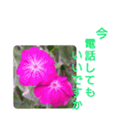 花いっぱいで大人可愛い日常用語②（個別スタンプ：22）