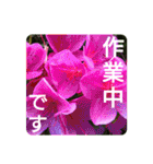 花いっぱいで大人可愛い日常用語②（個別スタンプ：23）