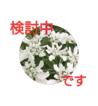 花いっぱいで大人可愛い日常用語②（個別スタンプ：24）