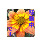 花いっぱいで大人可愛い日常用語②（個別スタンプ：25）