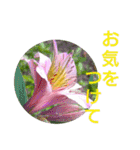 花いっぱいで大人可愛い日常用語②（個別スタンプ：26）