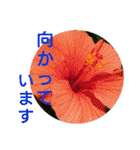花いっぱいで大人可愛い日常用語②（個別スタンプ：27）