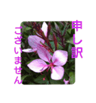 花いっぱいで大人可愛い日常用語②（個別スタンプ：28）
