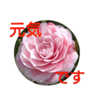 花いっぱいで大人可愛い日常用語②（個別スタンプ：30）