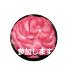 花いっぱいで大人可愛い日常用語②（個別スタンプ：35）