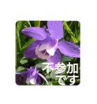 花いっぱいで大人可愛い日常用語②（個別スタンプ：36）