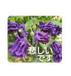 花いっぱいで大人可愛い日常用語②（個別スタンプ：39）