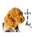 今日も元気なまろんさん（個別スタンプ：13）