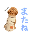 今日も元気なまろんさん（個別スタンプ：14）