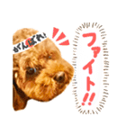 今日も元気なまろんさん（個別スタンプ：18）