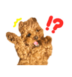 今日も元気なまろんさん（個別スタンプ：22）
