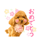 今日も元気なまろんさん（個別スタンプ：29）