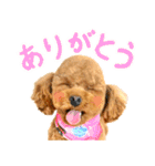 今日も元気なまろんさん（個別スタンプ：32）