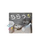 うっすら三毛猫『ななこ』よく使う言葉（個別スタンプ：2）