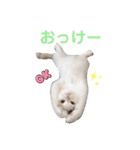 うっすら三毛猫『ななこ』よく使う言葉（個別スタンプ：8）