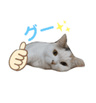 うっすら三毛猫『ななこ』よく使う言葉（個別スタンプ：10）