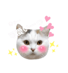 うっすら三毛猫『ななこ』よく使う言葉（個別スタンプ：14）
