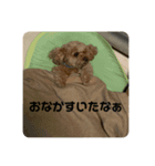 くま♡ぷう（個別スタンプ：1）
