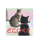 くま♡ぷう（個別スタンプ：2）