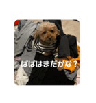 くま♡ぷう（個別スタンプ：3）