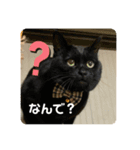 くま♡ぷう（個別スタンプ：4）