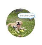 らーさんの日常（個別スタンプ：5）