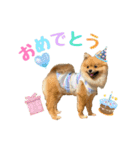 今井家のくーちゃん（個別スタンプ：4）