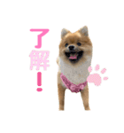 今井家のくーちゃん（個別スタンプ：7）