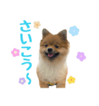 今井家のくーちゃん（個別スタンプ：9）