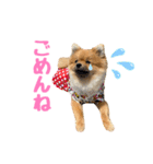今井家のくーちゃん（個別スタンプ：14）