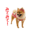 今井家のくーちゃん（個別スタンプ：29）