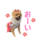 今井家のくーちゃん（個別スタンプ：30）