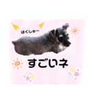 返事・相づち～マロン君といっしょ～②（個別スタンプ：4）