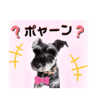 返事・相づち～マロン君といっしょ～②（個別スタンプ：5）