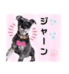 返事・相づち～マロン君といっしょ～②（個別スタンプ：7）