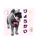 返事・相づち～マロン君といっしょ～②（個別スタンプ：10）
