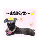 返事・相づち～マロン君といっしょ～②（個別スタンプ：15）