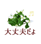 いたわり気づかい優しい言葉＊草花いっぱい（個別スタンプ：3）