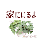 いたわり気づかい優しい言葉＊草花いっぱい（個別スタンプ：21）