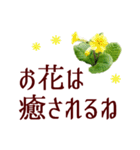 いたわり気づかい優しい言葉＊草花いっぱい（個別スタンプ：24）