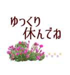 いたわり気づかい優しい言葉＊草花いっぱい（個別スタンプ：30）