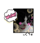 保護猫黒ちゃんの幸せ（個別スタンプ：2）
