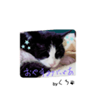 保護猫黒ちゃんの幸せ（個別スタンプ：7）