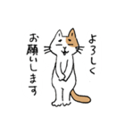 ていねいな猫さん（個別スタンプ：11）