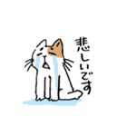 ていねいな猫さん（個別スタンプ：19）