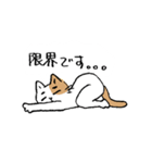 ていねいな猫さん（個別スタンプ：20）