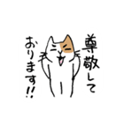 ていねいな猫さん（個別スタンプ：29）