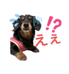 チック♡パート2（個別スタンプ：9）